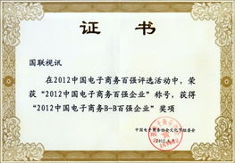 北京國聯(lián)視訊信息技術股份榮獲“2012中國電子商務百強企業(yè)”稱號，引領企業(yè)信息技術咨詢服務新浪潮
